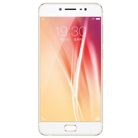 vivo x71