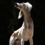 fotograf&iacute;as tomadas con Xiaomi Redmi Pro