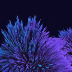 Android 7 Walpaper 15