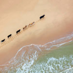 Android 7 Walpaper 16