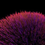 Android 7 Walpaper 4