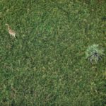 Android 7 Walpaper 5