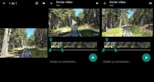 gif-whatsapp-650x384