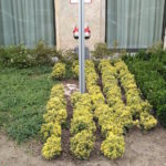 HUAWEI-NOVA-PLUS-FOTOS-26-150x150