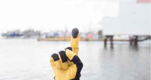 Captura-de-pantalla-2016-11-24-a-las-12.52.44