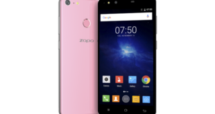 rose-gold-00word2-650x391